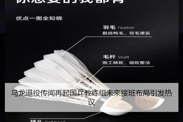 马龙退役传闻再起国乒教练组未来接班布局引发热议